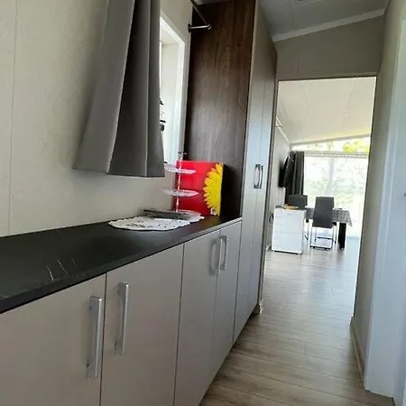 Near Szczecin Lagoon