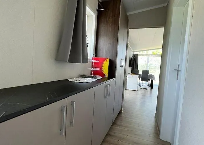 Near Szczecin Lagoon